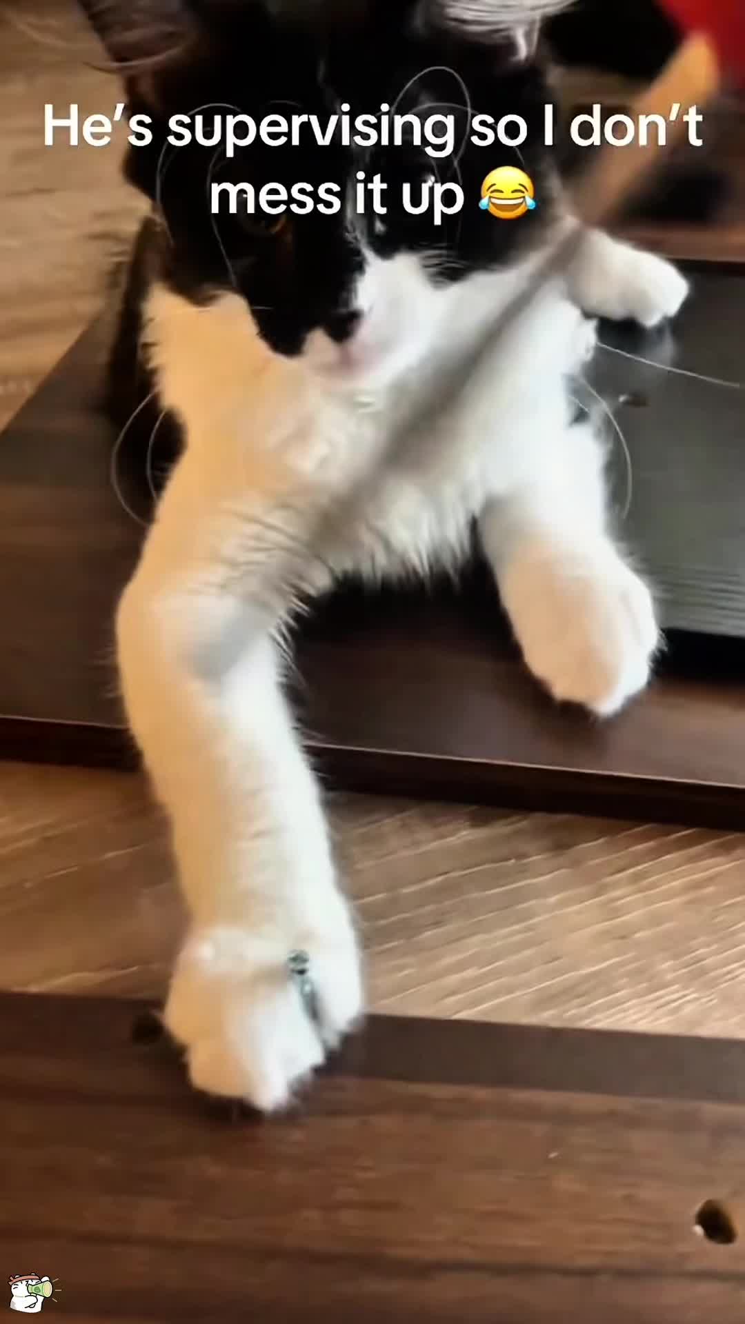 @SneakyFails