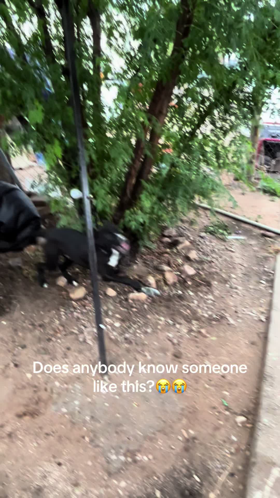 @mylil_india