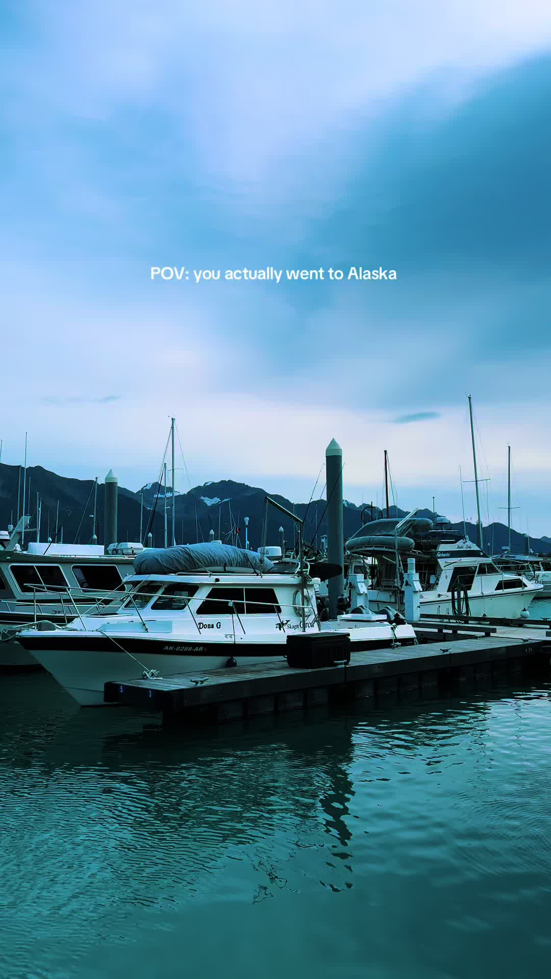 @TERRA🪻🧝🏼♀️🪿
