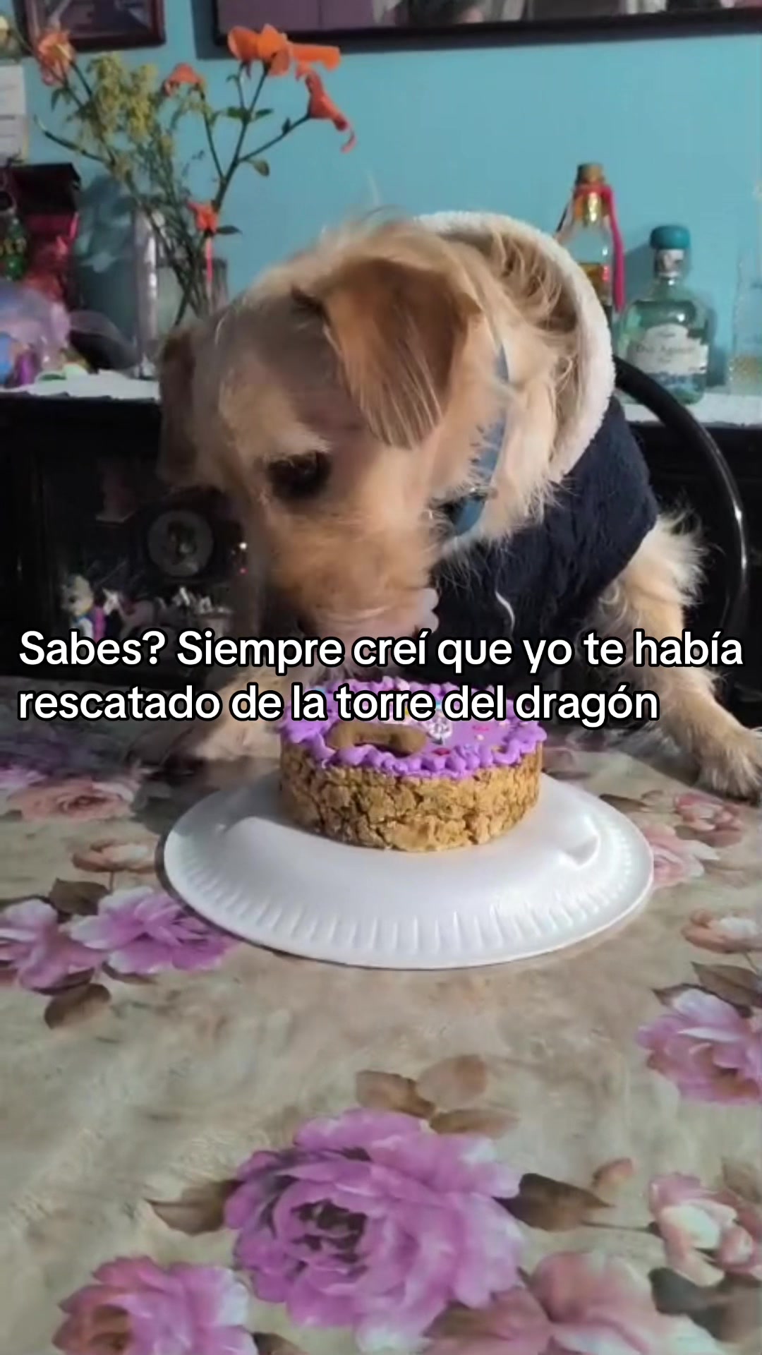 @Luis Dur&aacute;n
