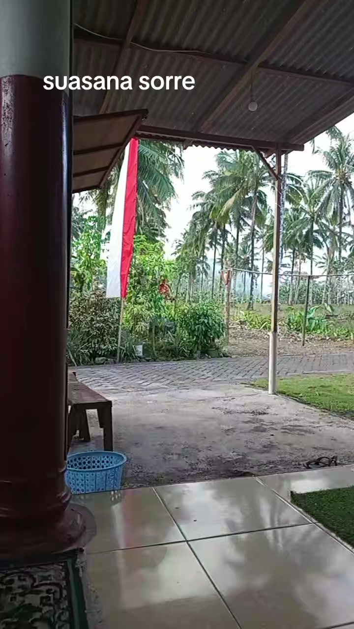 @user993524402554