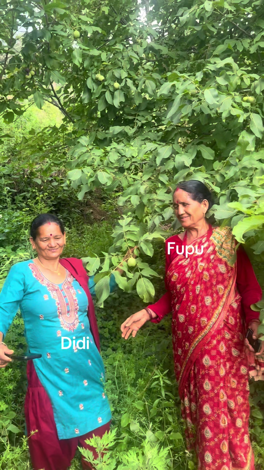@Tara Khatri