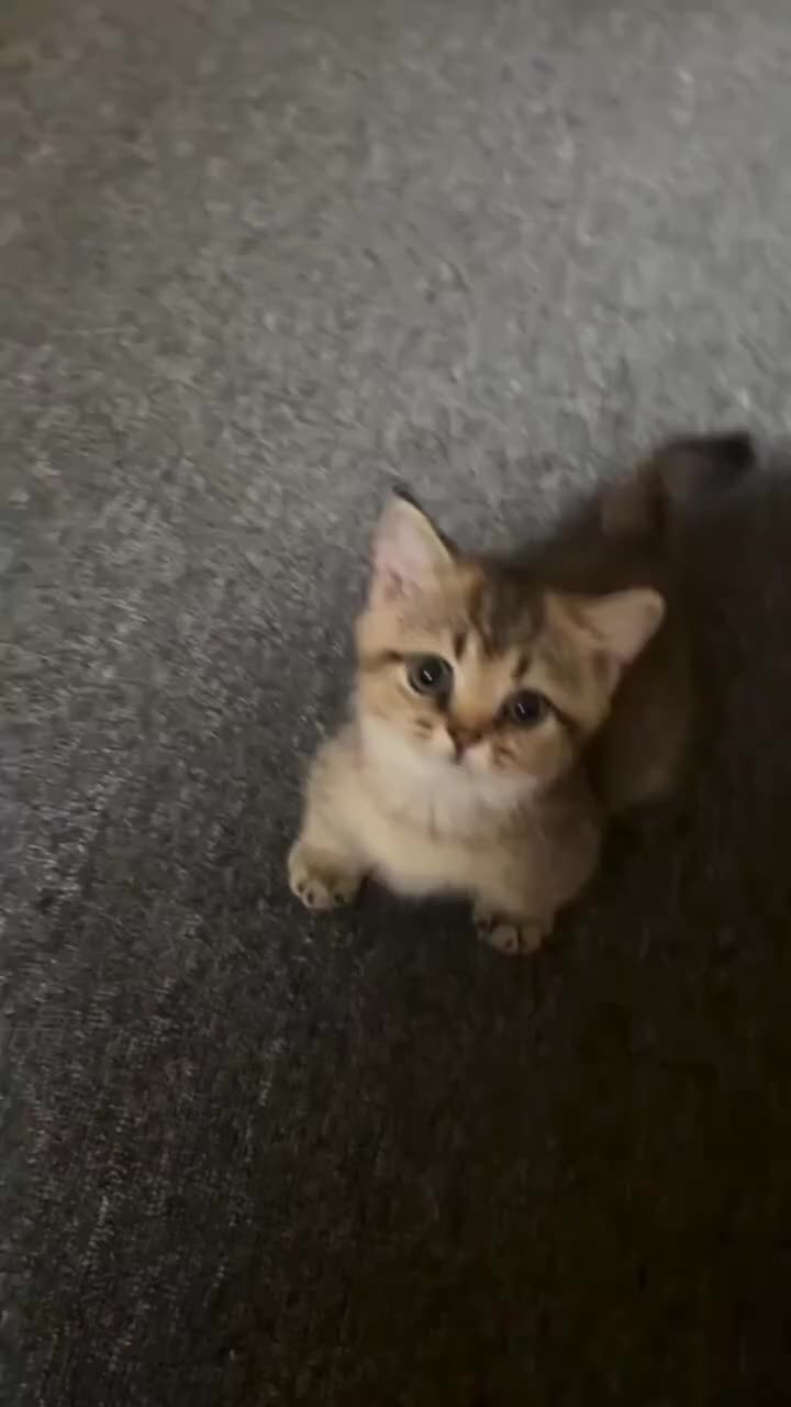 @آدم