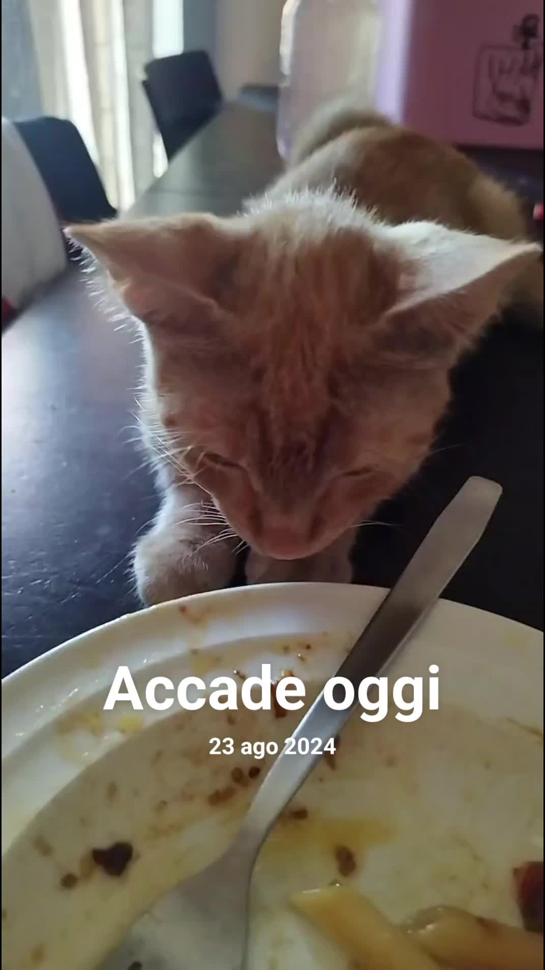 @Lucia Musmeci
