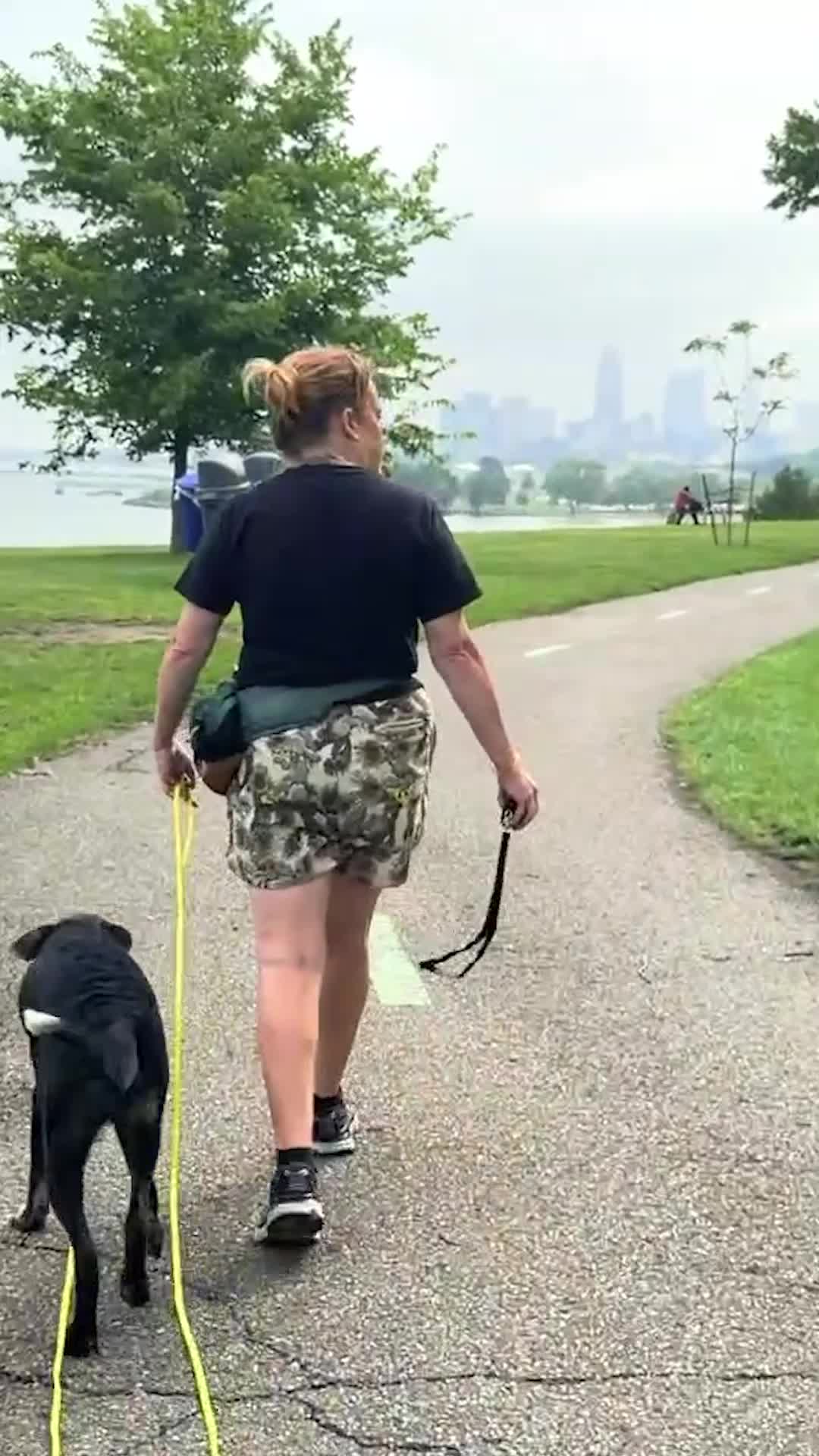@Miracle K9 Training