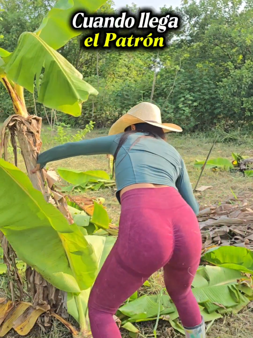 @Elsalvador4k