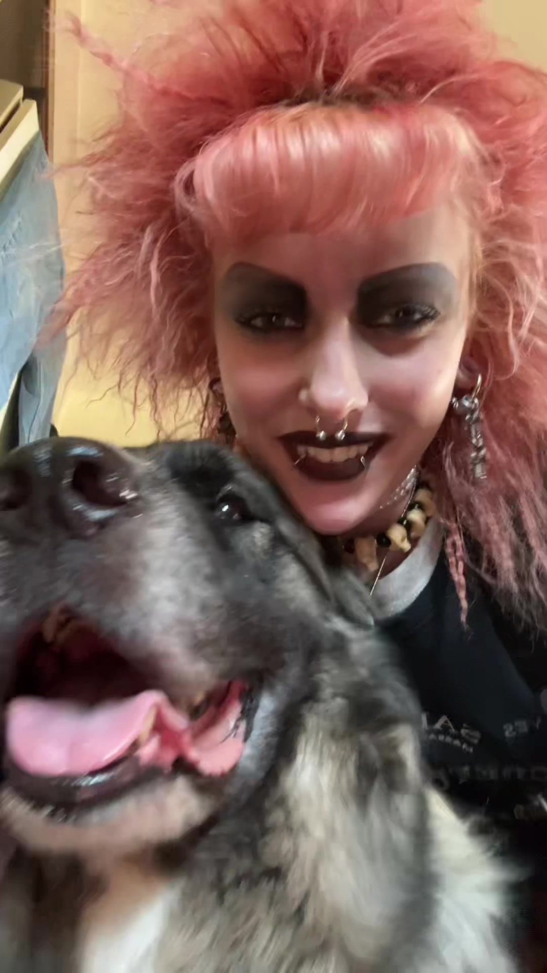 @Bizarrebarracuda