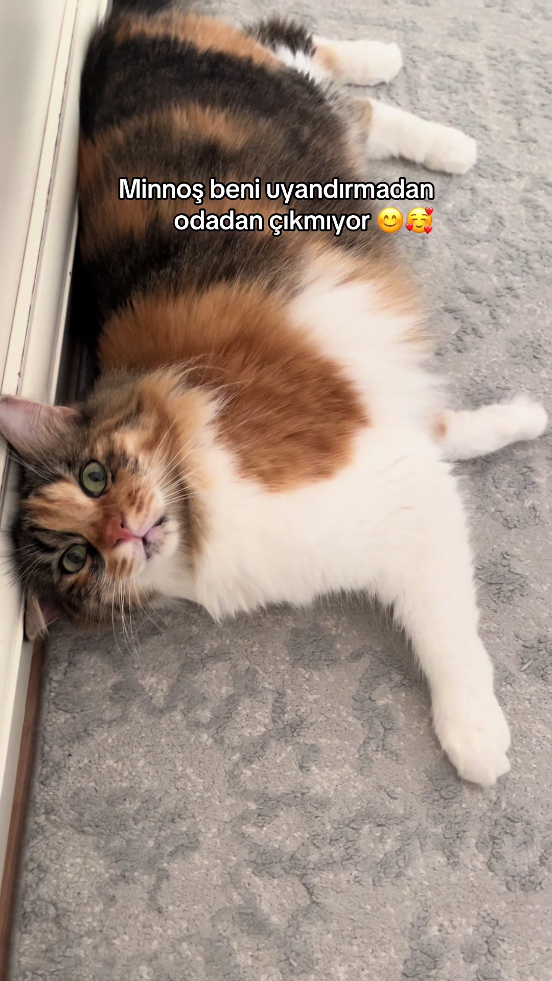 @konusankediminnos