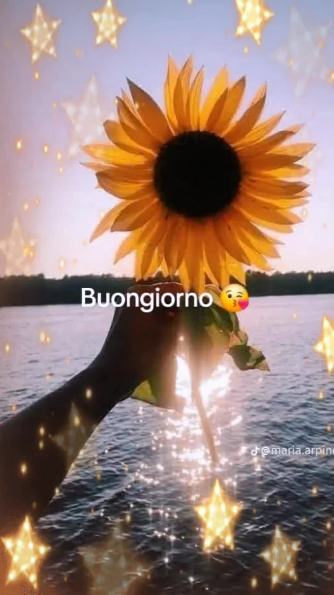@mariarosariasll