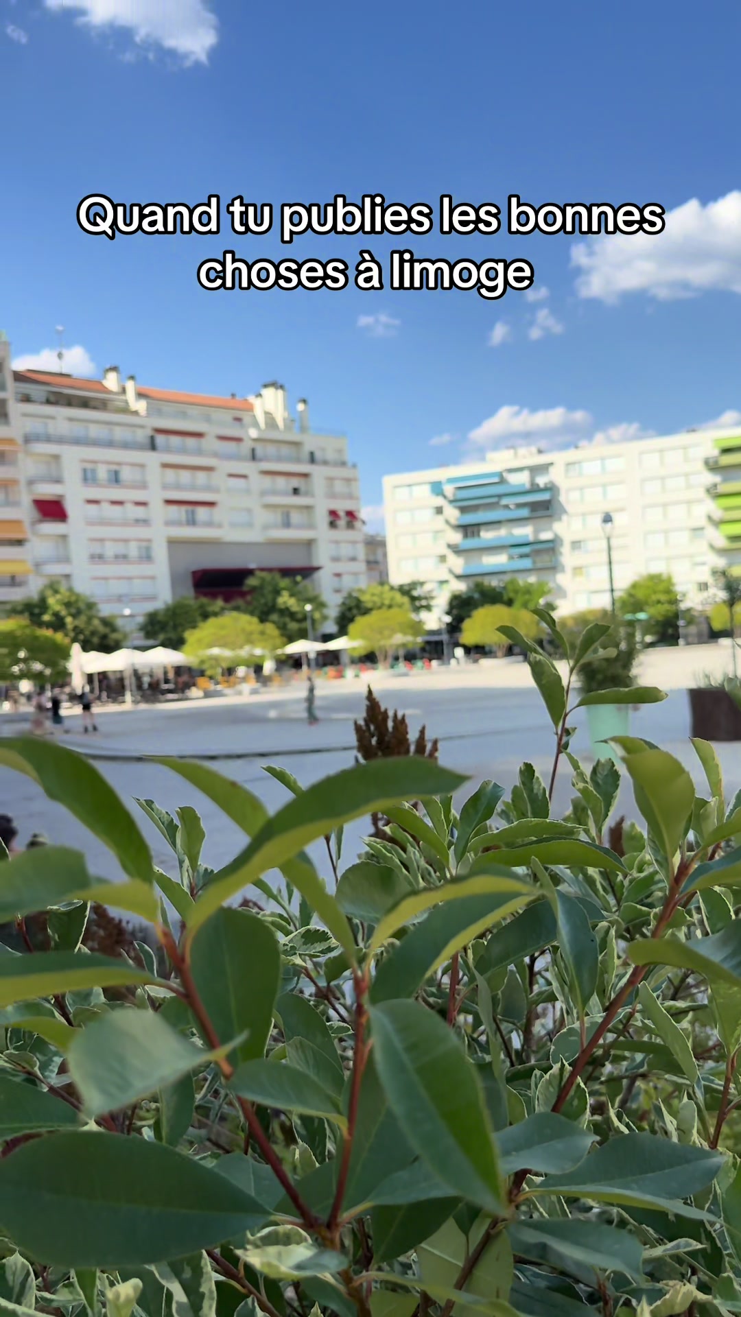 @idivoyage🌴🏝️⛱️