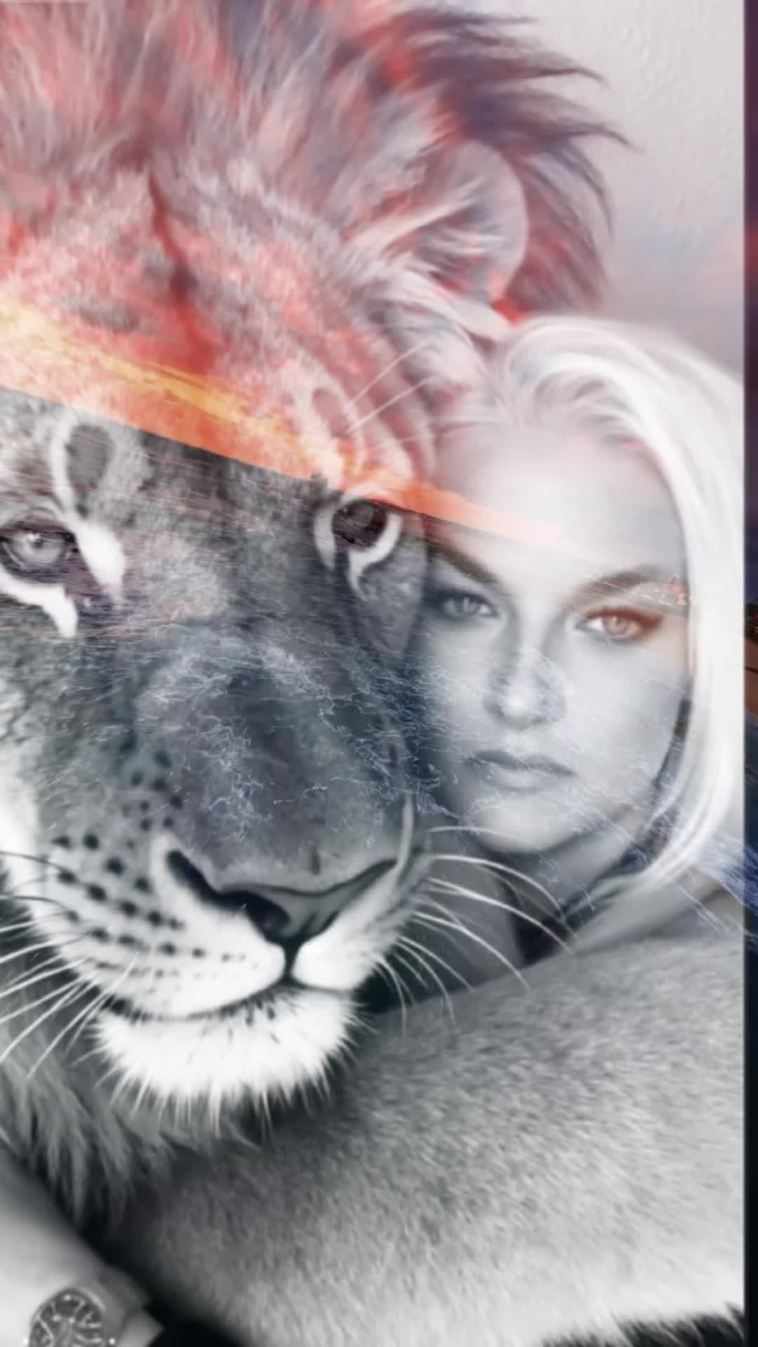 @Lion Heart
