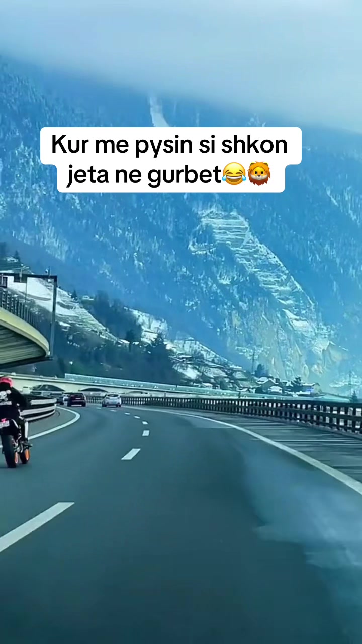@ShKODRANE👸🏼🇦🇱🦁
