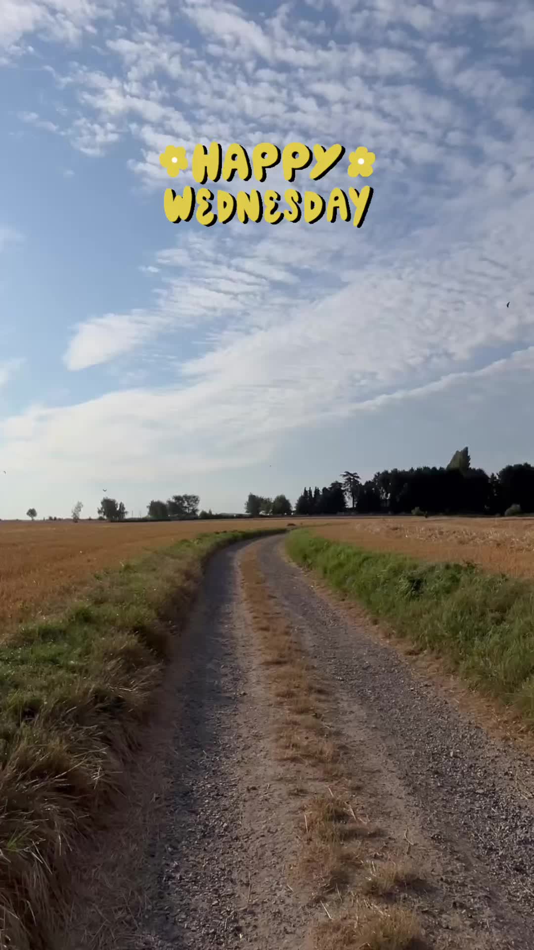 @Peter Franken 🦄