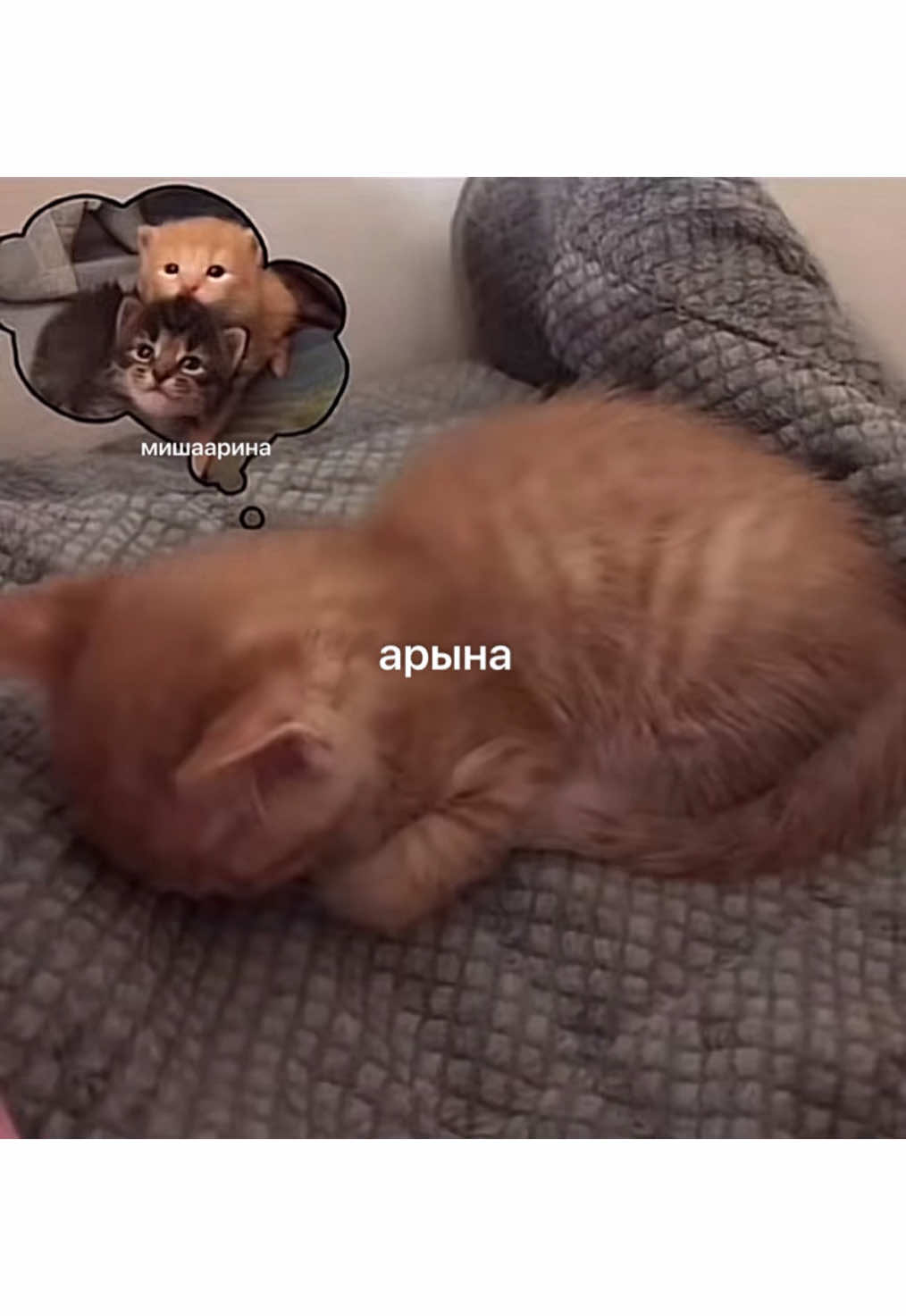 @лантановая