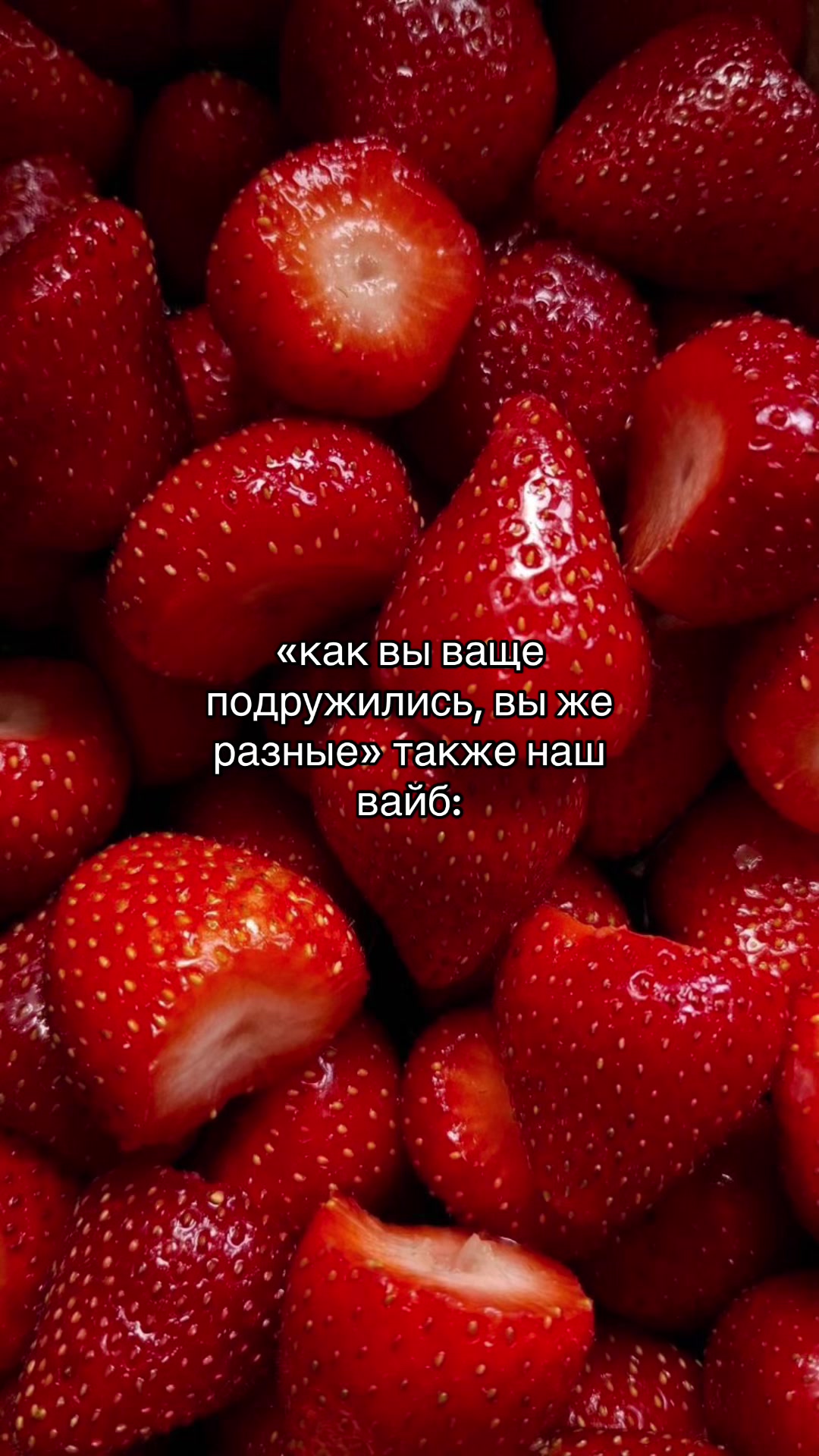 @po_linca_18