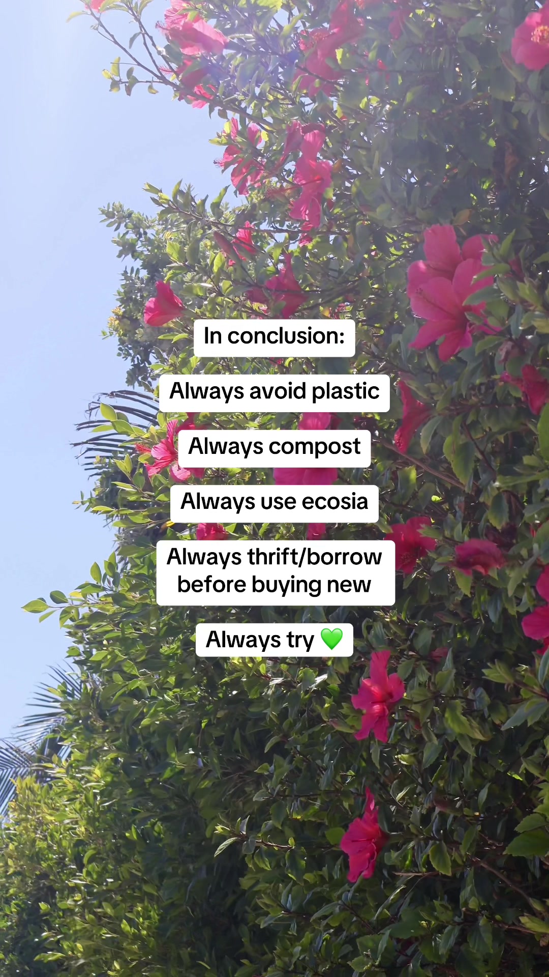 @amaliaplantstrees