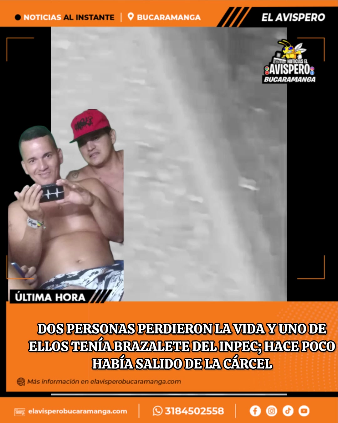 @avisperobucaramanga