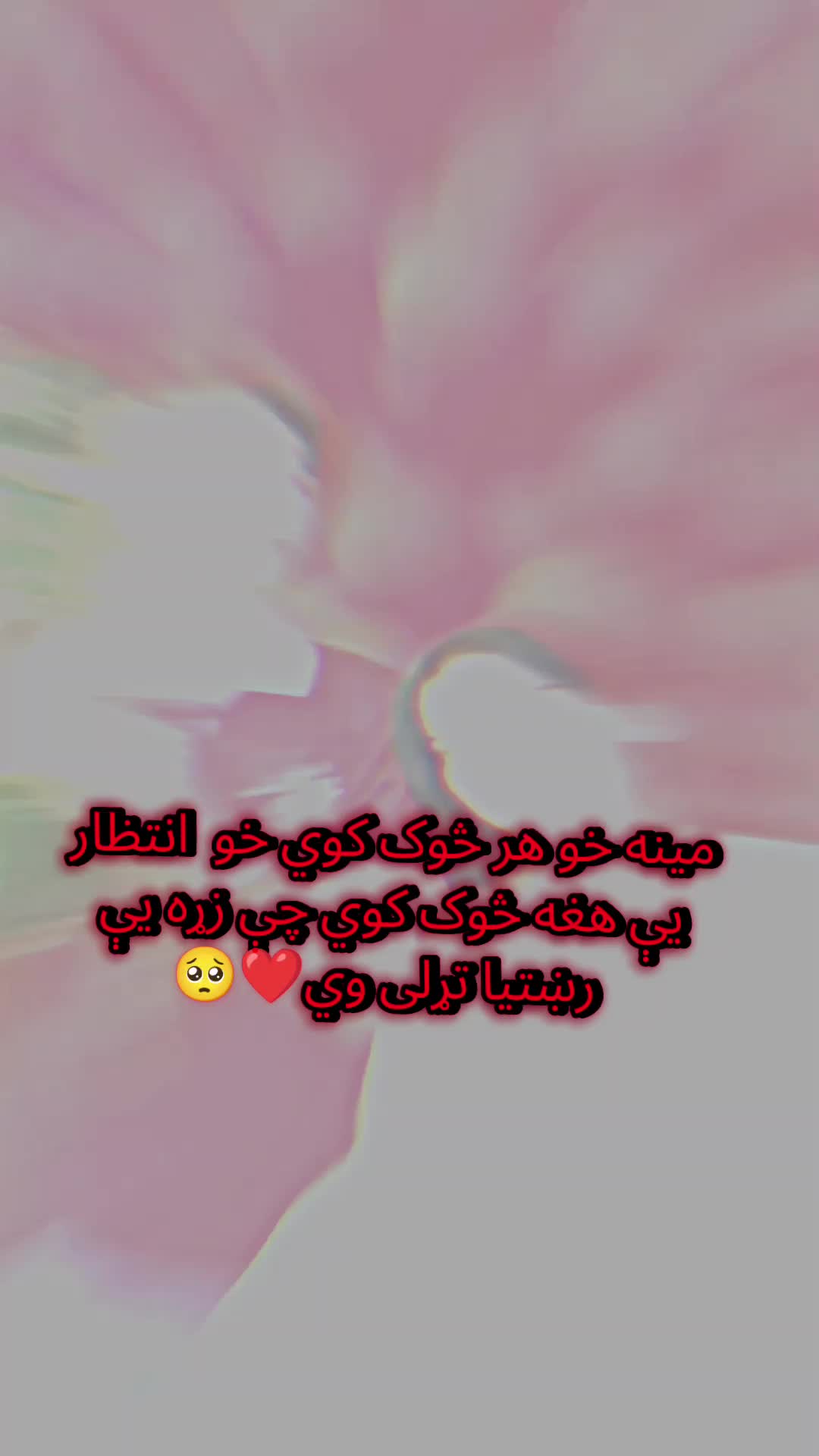 @💔🌿Laghmani