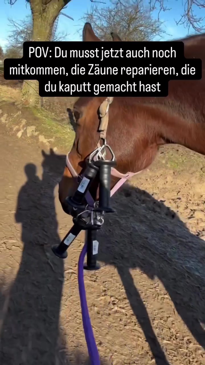@ne.horses