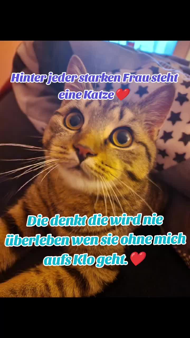 @mimi💛E-Team💛