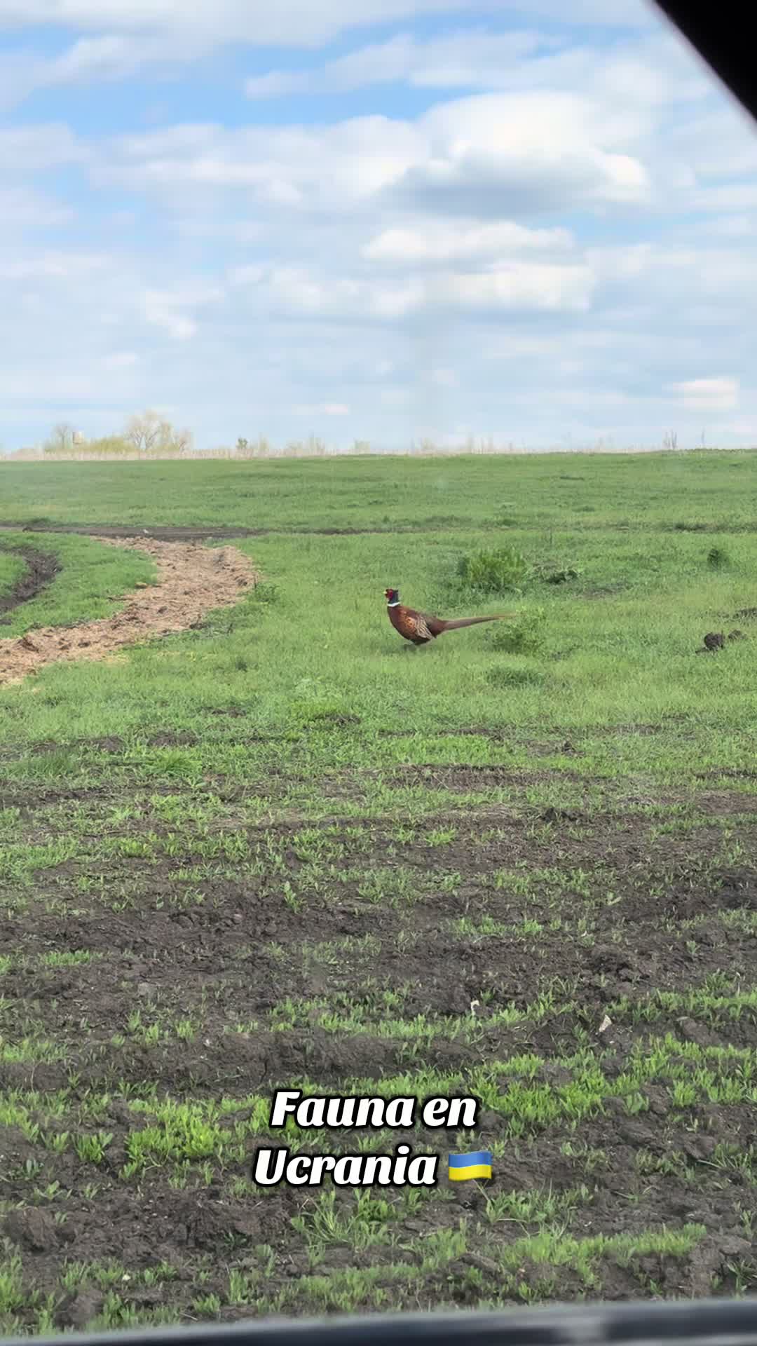 @EL ÁRABE 🇨🇴🇺🇦