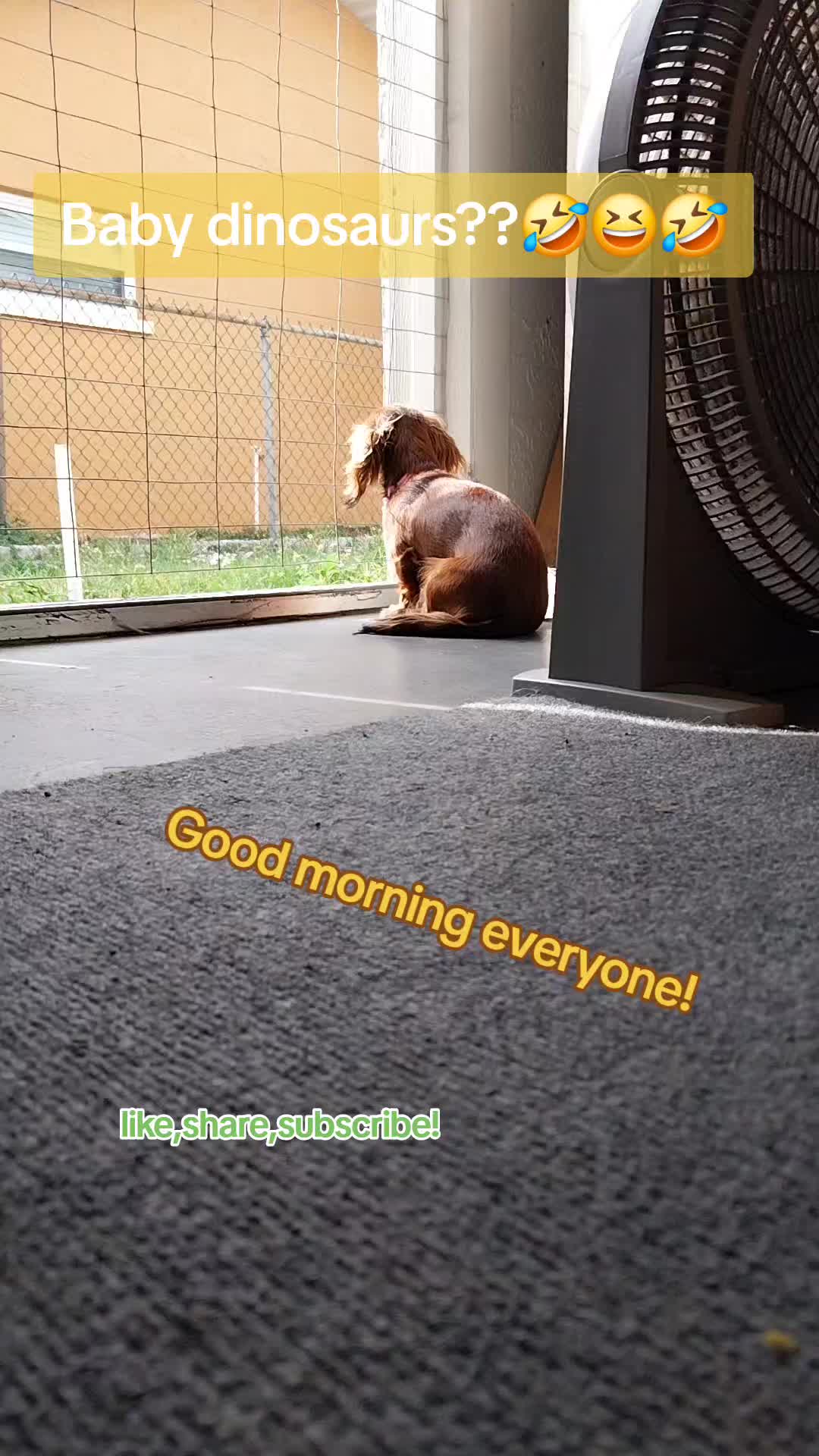 @filmguy13z