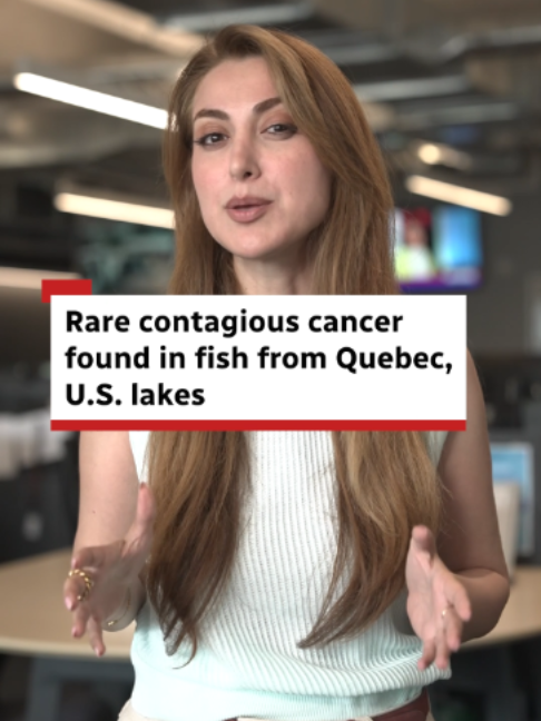 @CBC Montreal