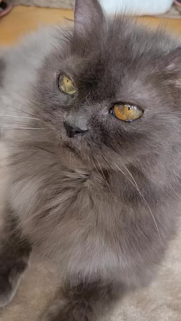 @😻Ekipa Świrka 😻