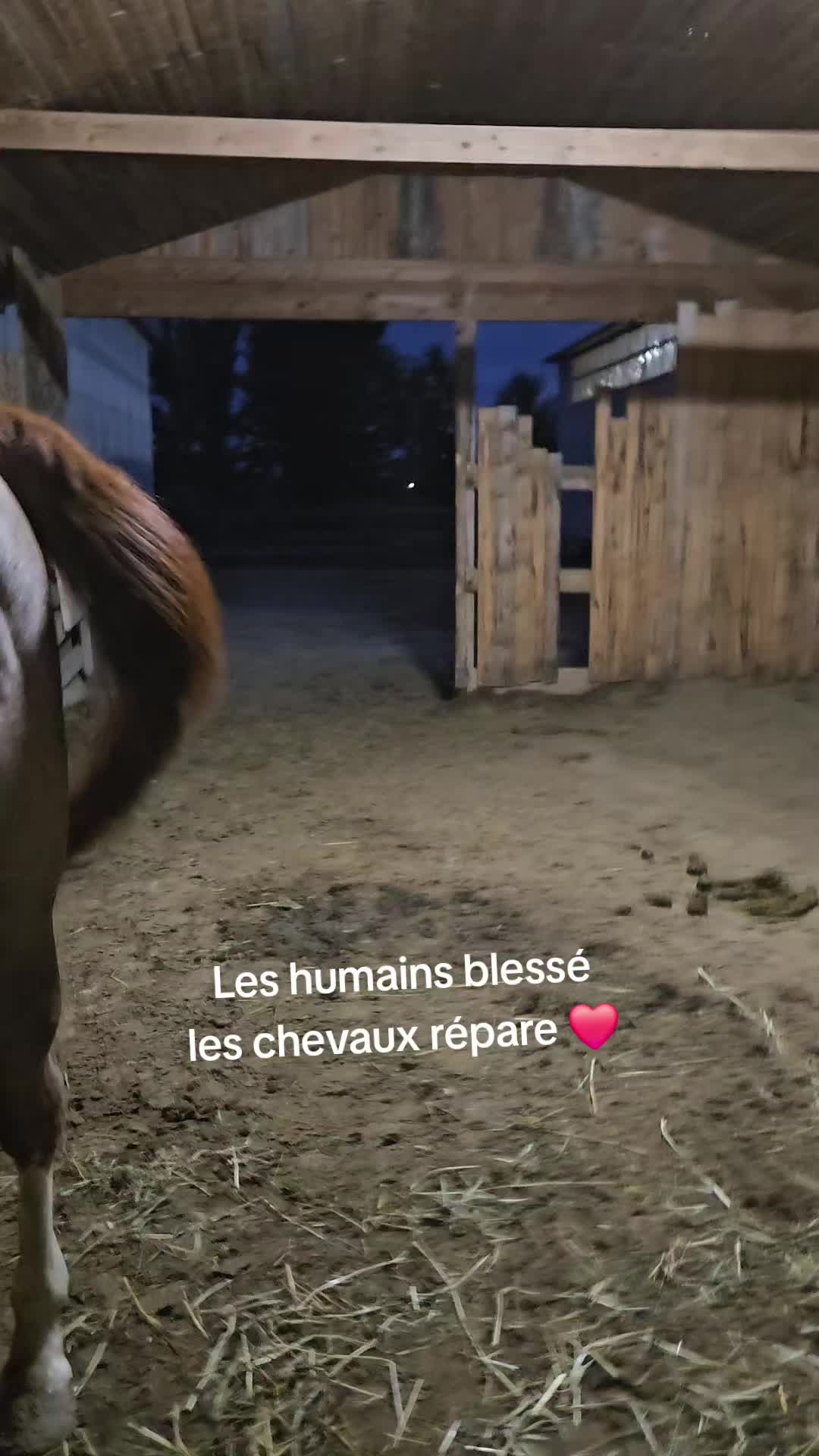 @Rosa 💞