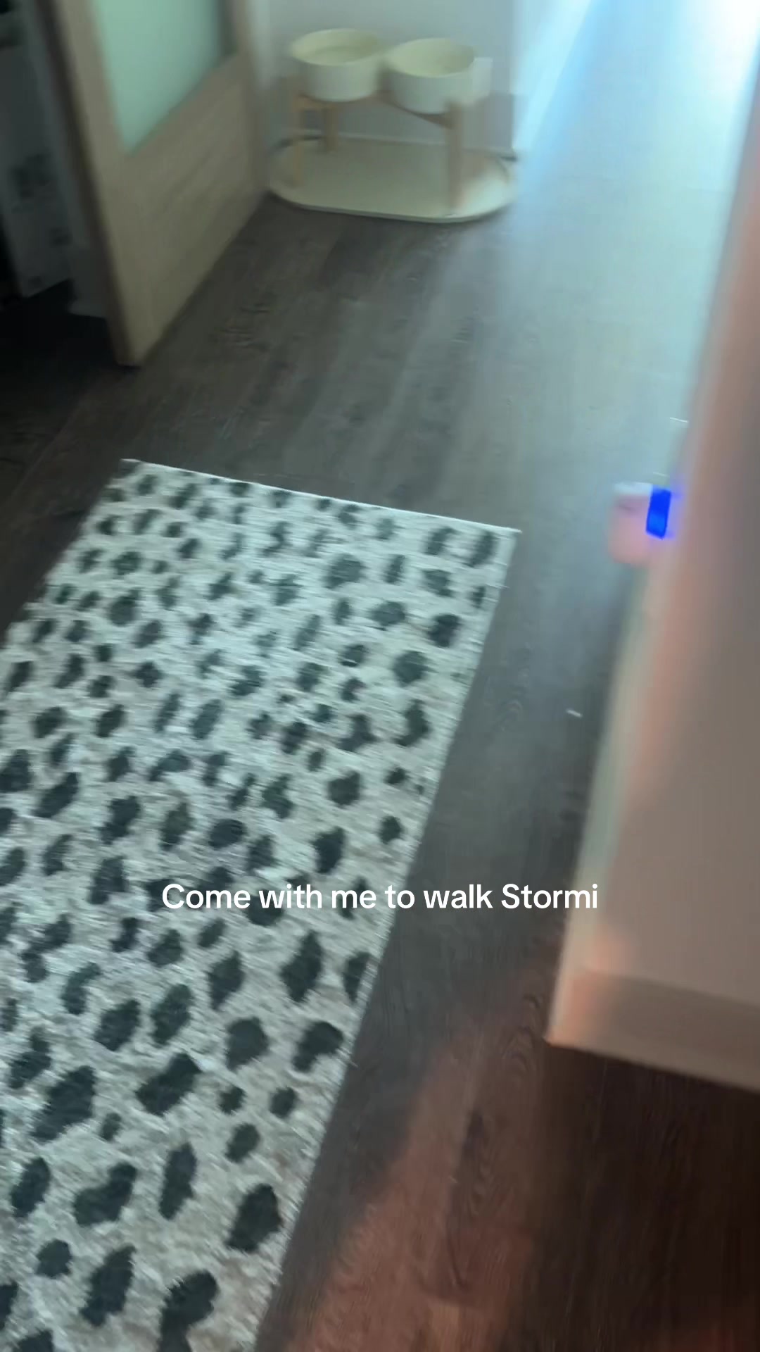@dallasdogwalker