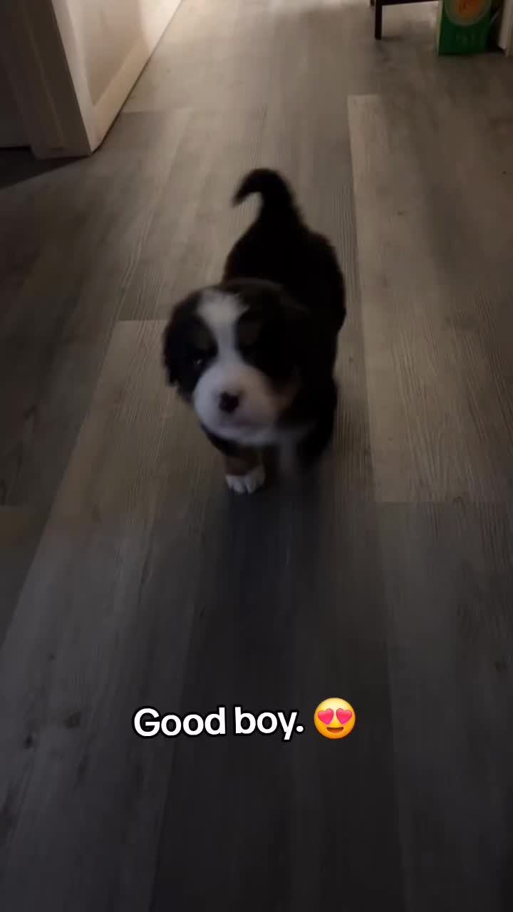 @🤣Vid&eacute;os Dr&ocirc;les.Zzz