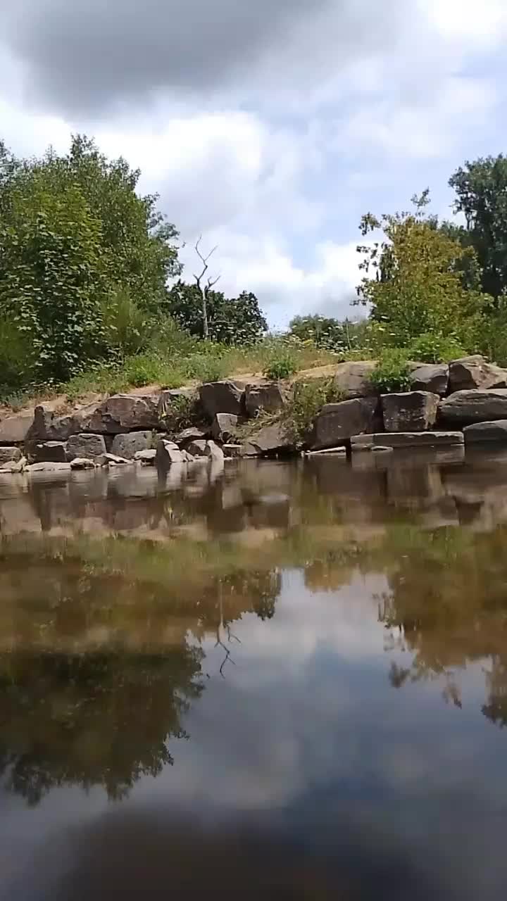 @𝐇𝐚𝐬𝐢𝐛&auml;𝐫 & 𝐆𝐡𝐨𝐬𝐭