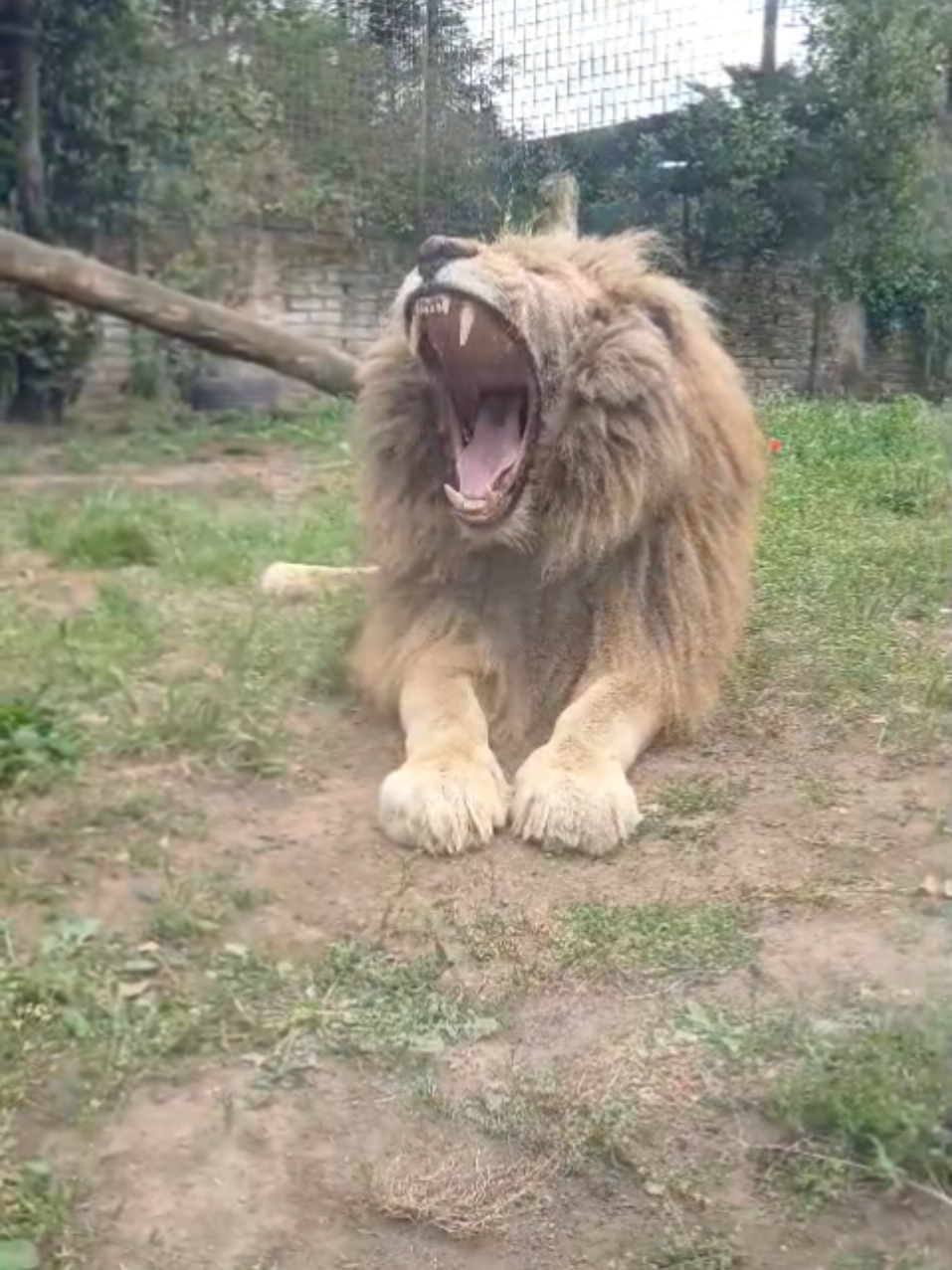 @Parco Zoo delle Star