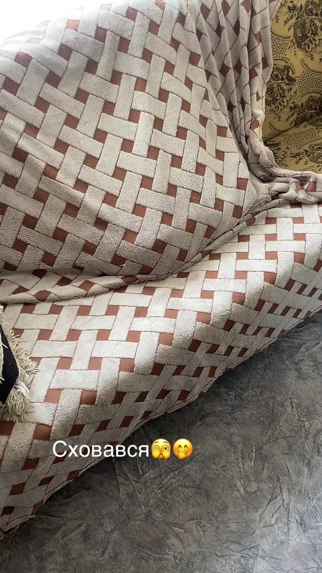 @_holly_bulls_