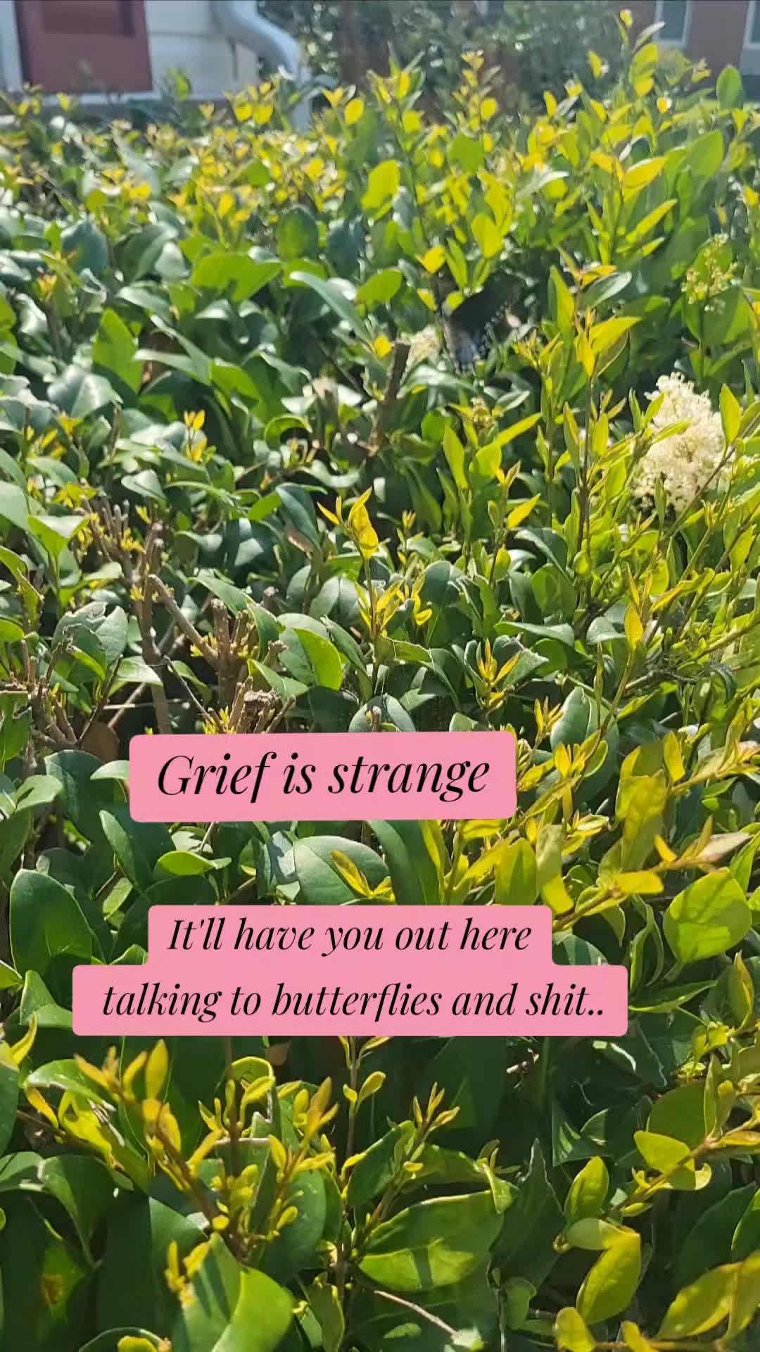 @Amanda | Life after childloss
