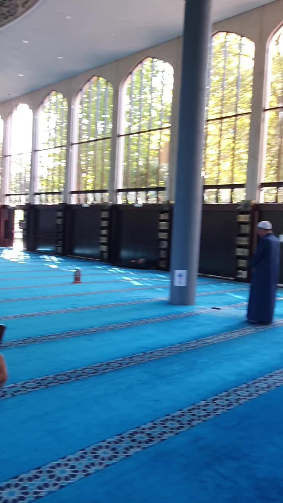 @alikhan977