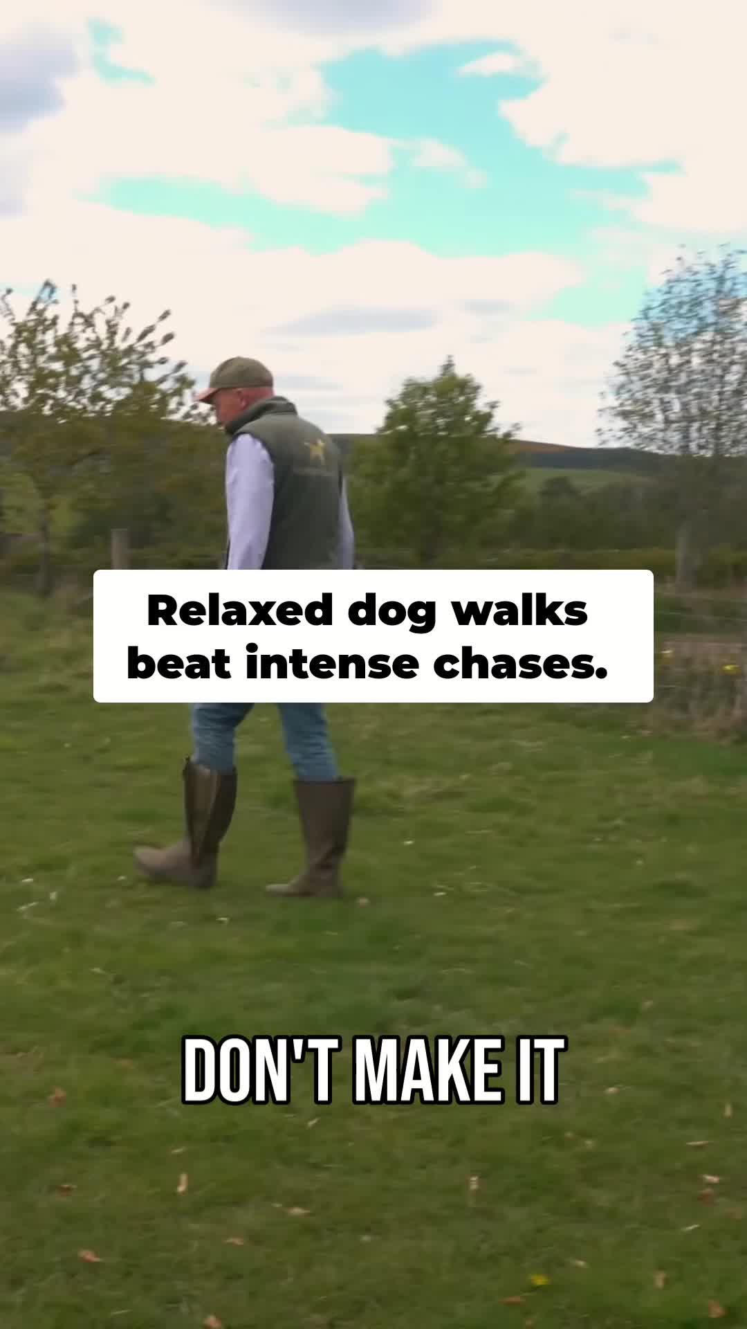 @Mordor Gundogs