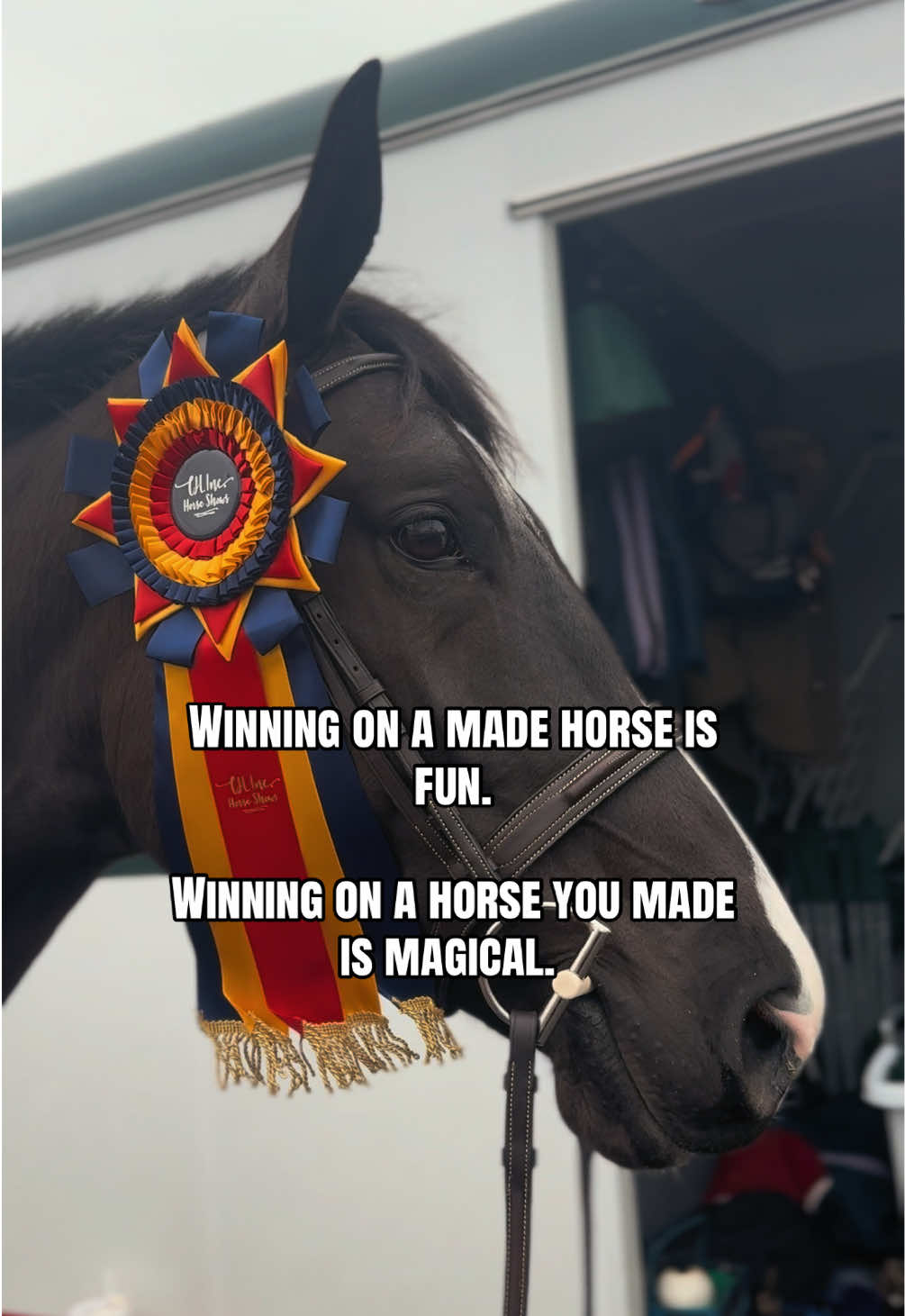 @Equestrian |🦄 Mom