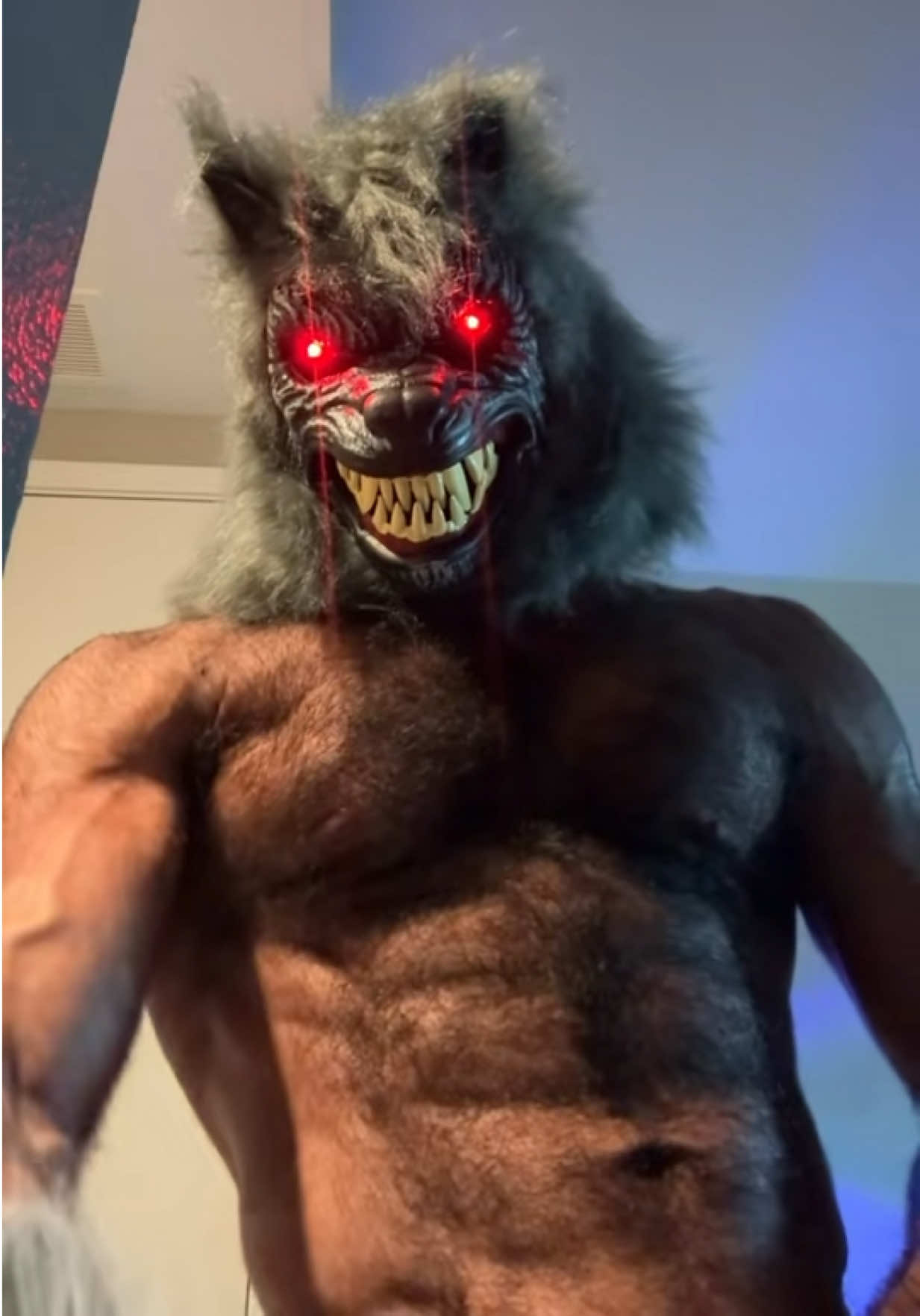 @Persian Wolf 🐺
