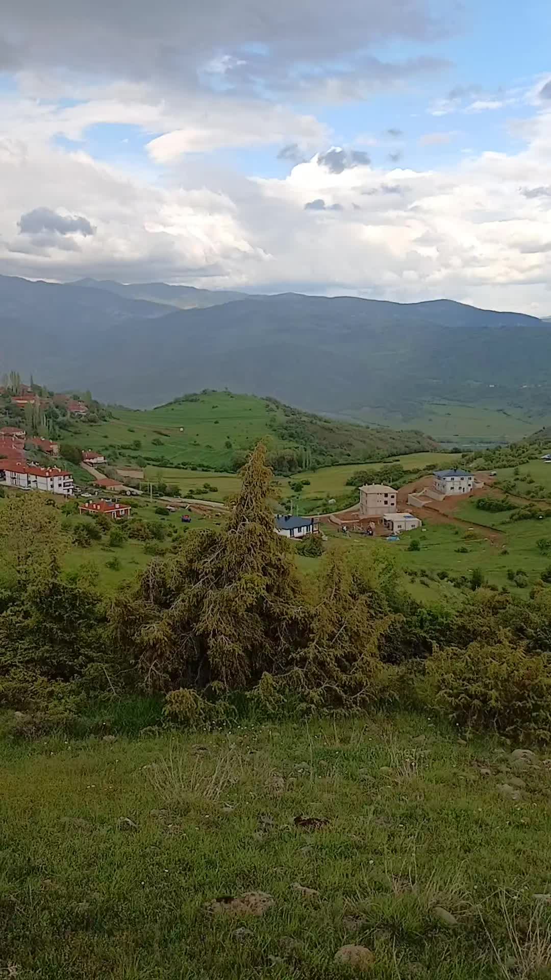 @Karadayi Karadayi