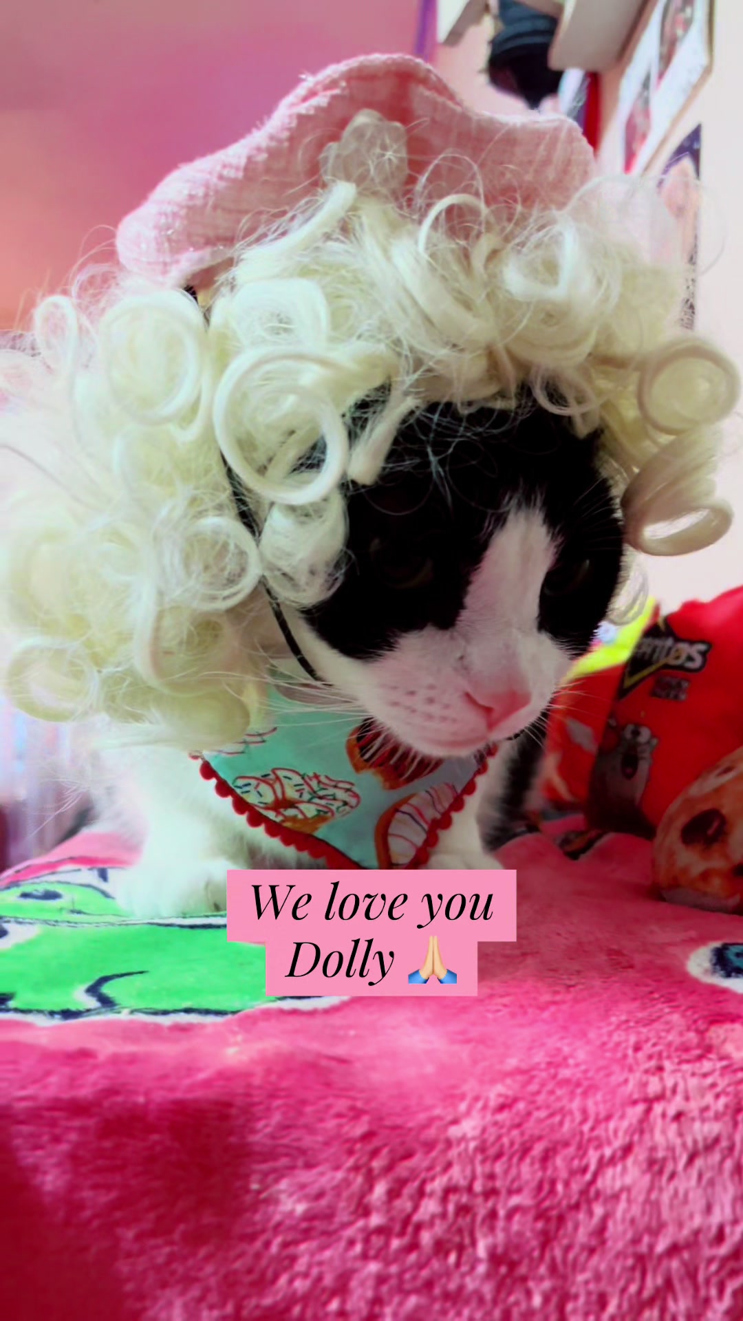 @Concerned_Kitty