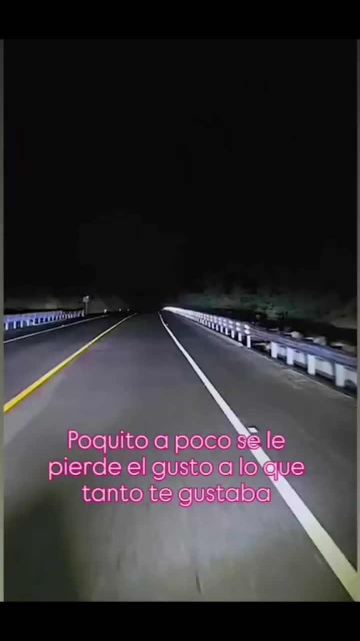 @el panda solitario