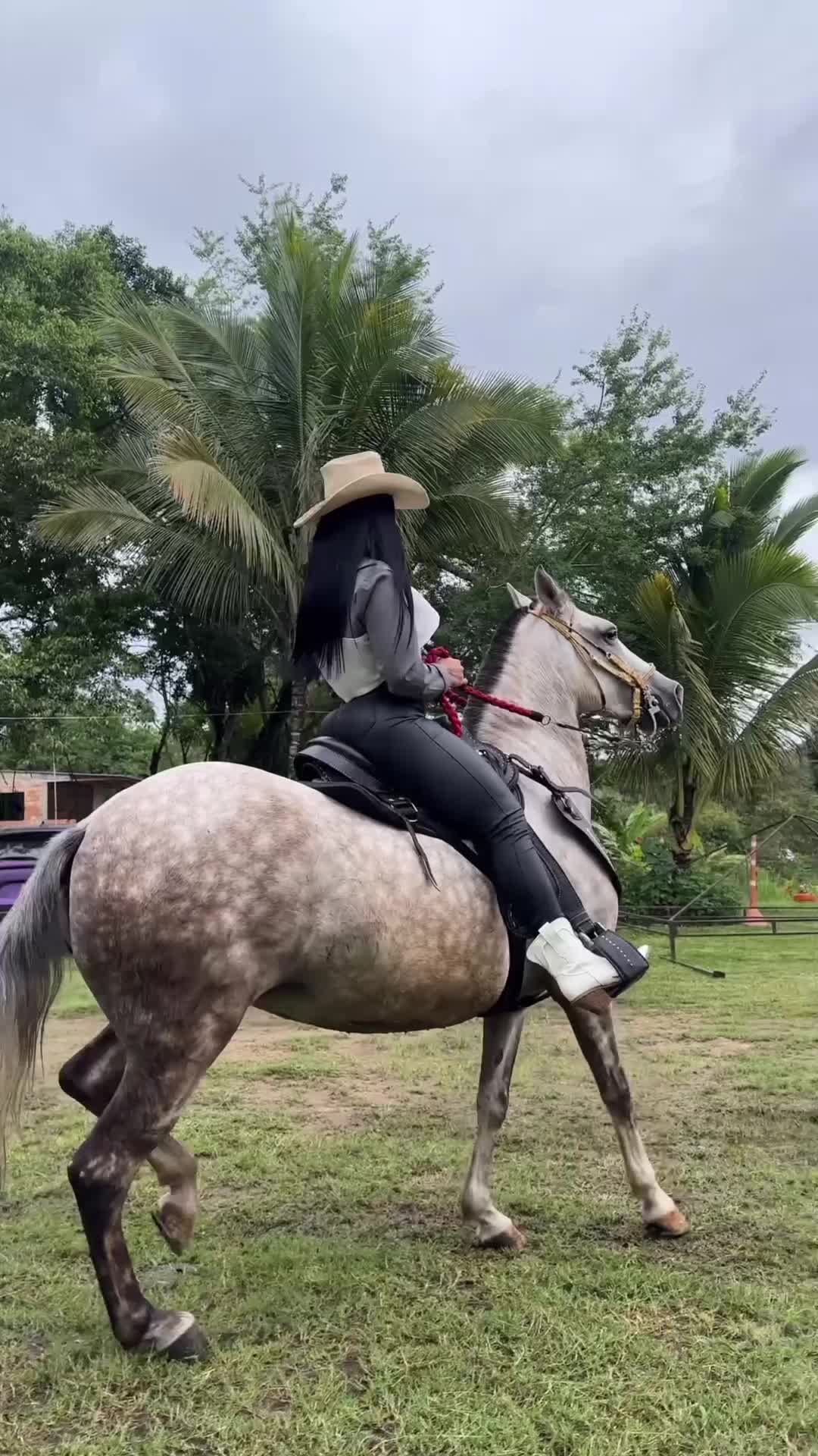 @Y.medinafit_