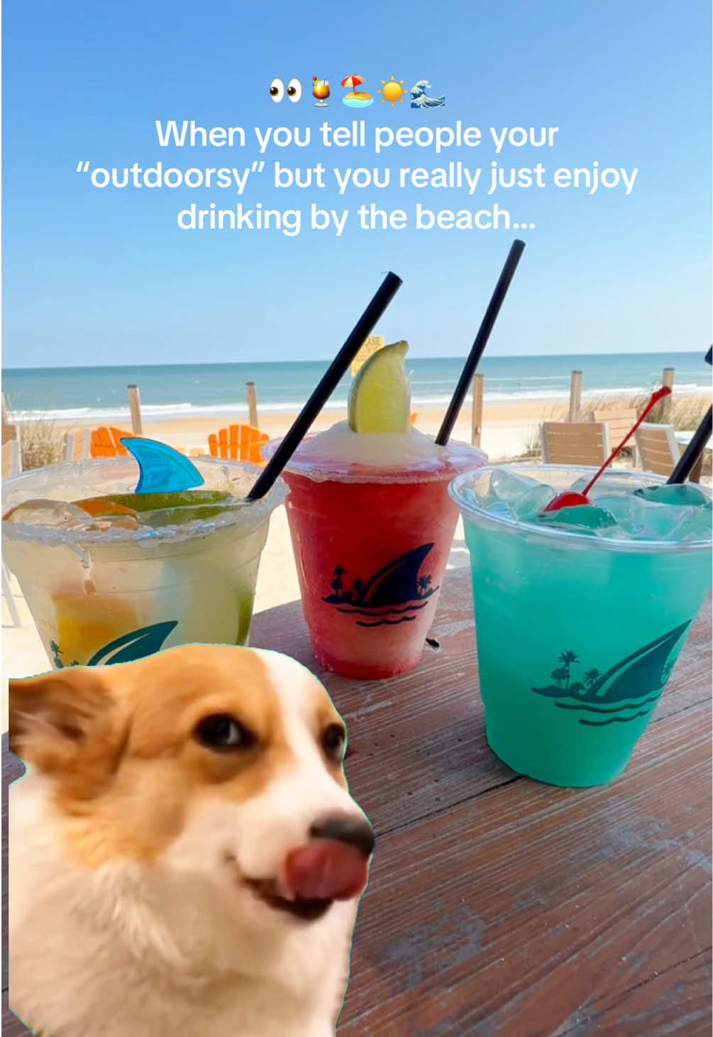 @LandShark Bar & Grill