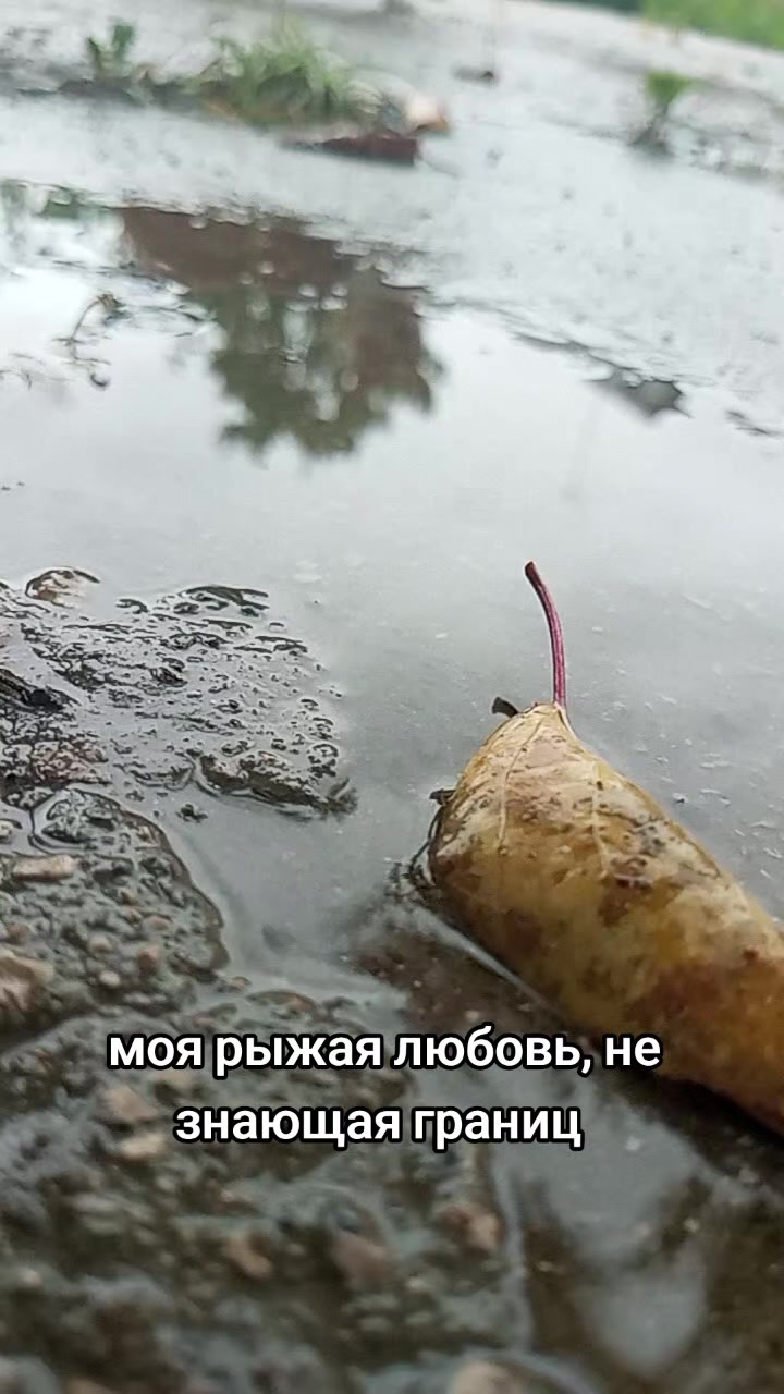 @Юлек Петербург-Елец