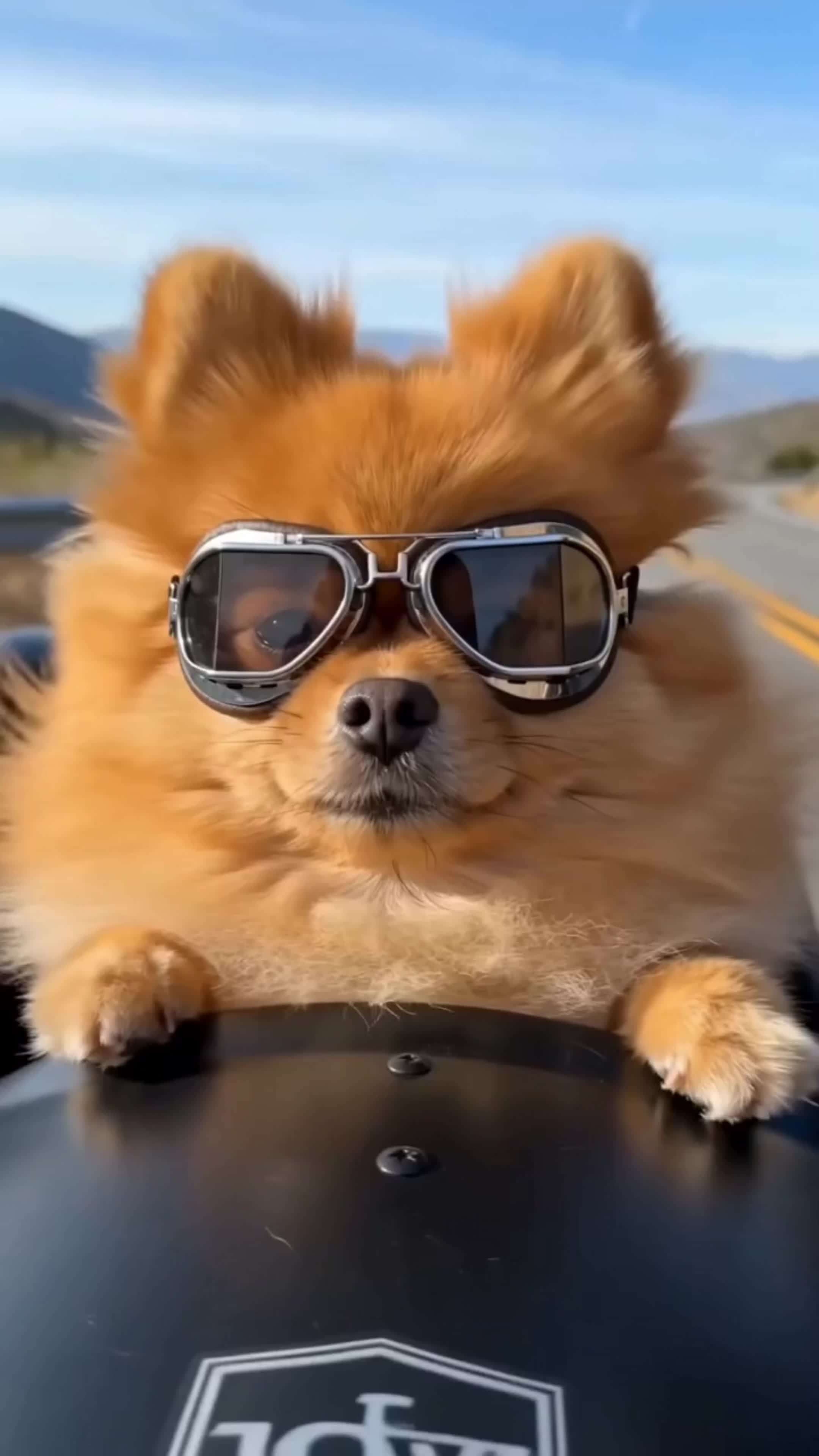 @Gangsterspitz