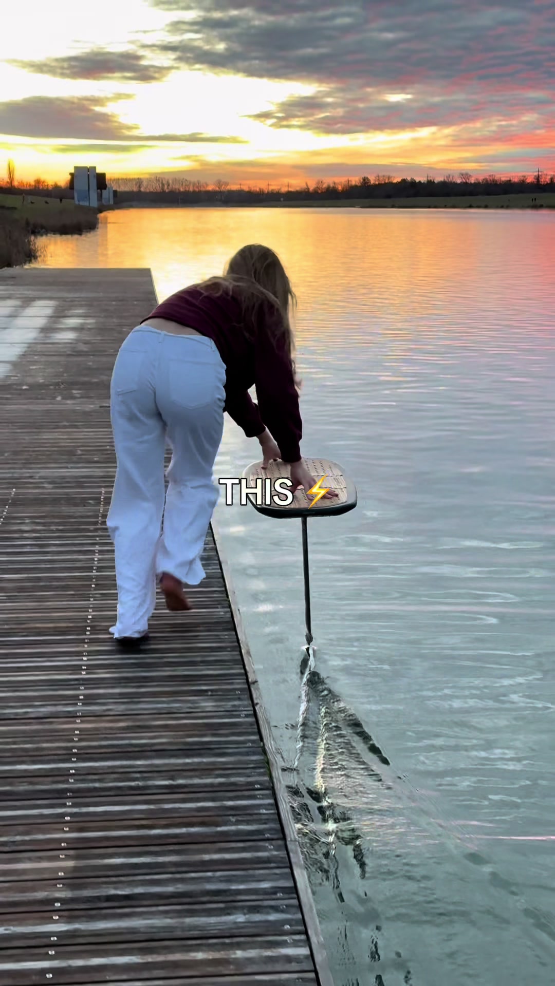 @Alina Kornelli 🐚