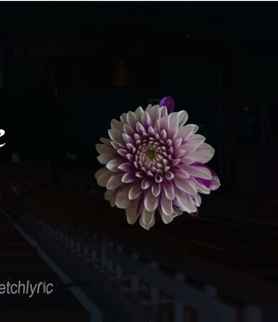 @sketchlyric🎧