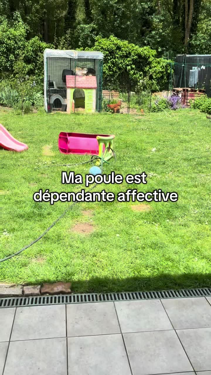 @Nounours et compagnie