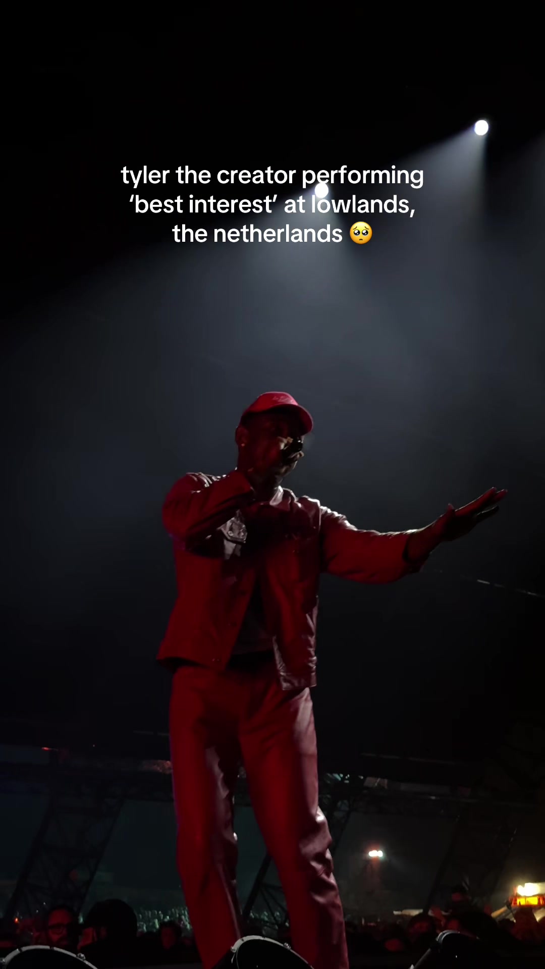 @lisa